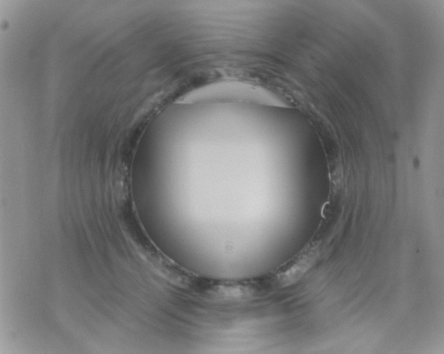 X0000071860464200607211921