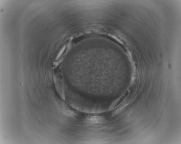 X0000071860467200607211921