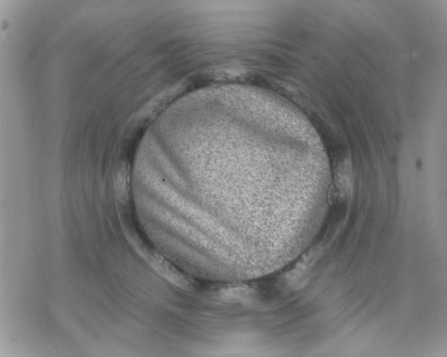 X0000071860468200607211921