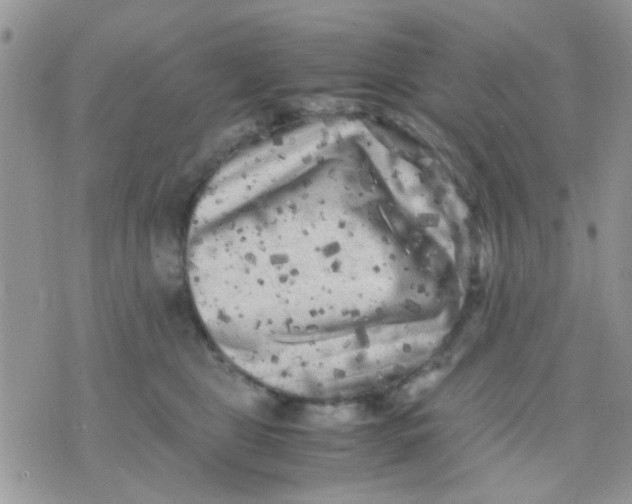 X0000071860469200607211921