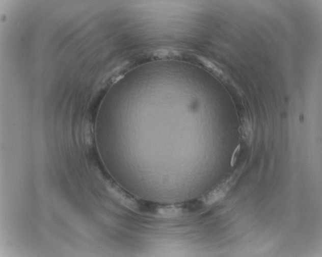 X0000071860470200607211922