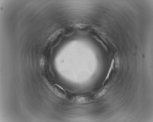 X0000071860472200607211922