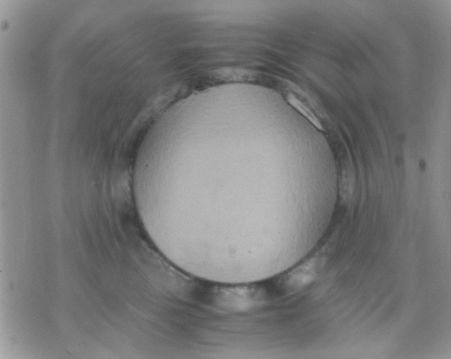 X0000071860473200607211922