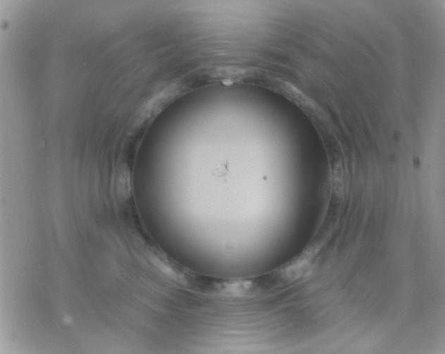 X0000071860474200607211922