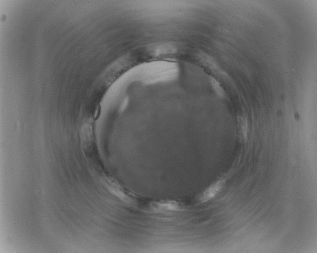 X0000071860475200607211922