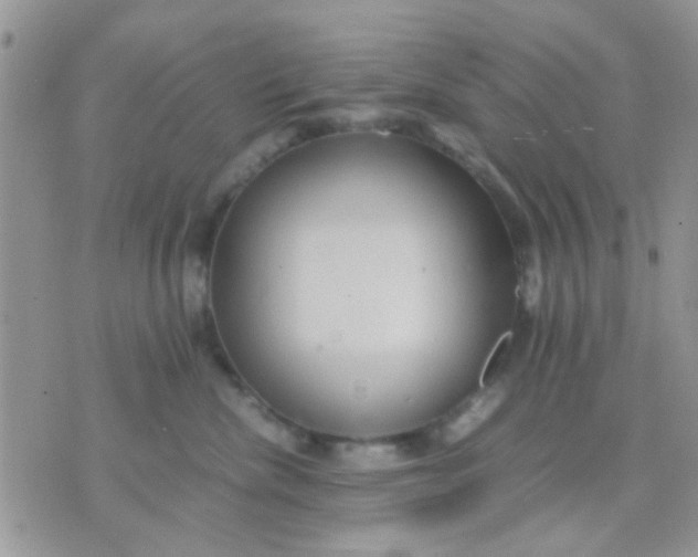 X0000071860476200607211922