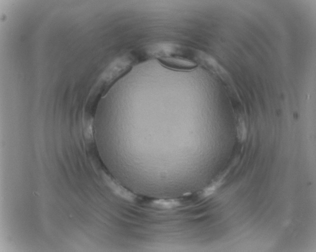 X0000071860477200607211922