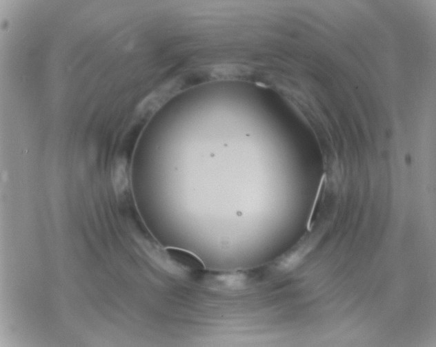 X0000071860478200607211922