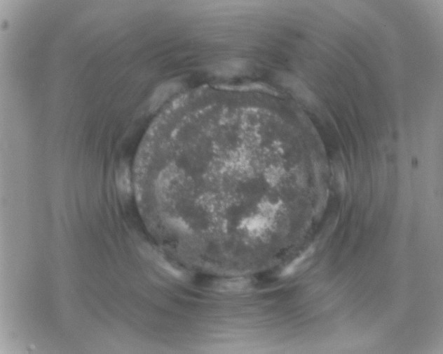 X0000071860479200607211922