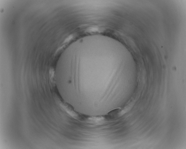 X0000071860480200607211922