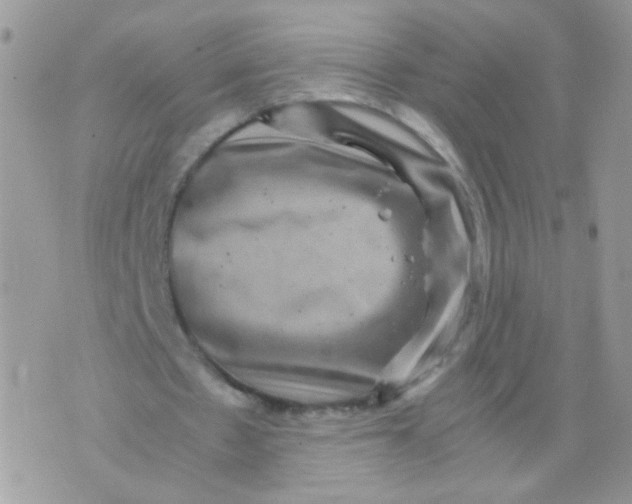 X0000071860481200607211921