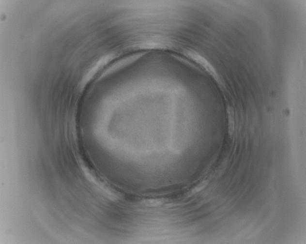 X0000071860482200607211921