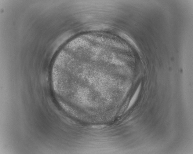 X0000071860483200607211921