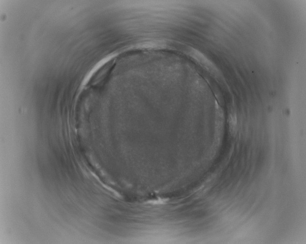 X0000071860484200607211921