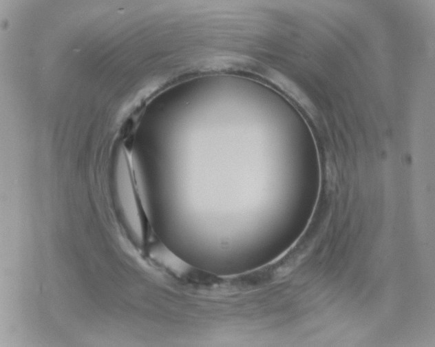 X0000071860485200607211921