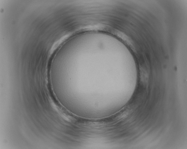 X0000071860486200607211921