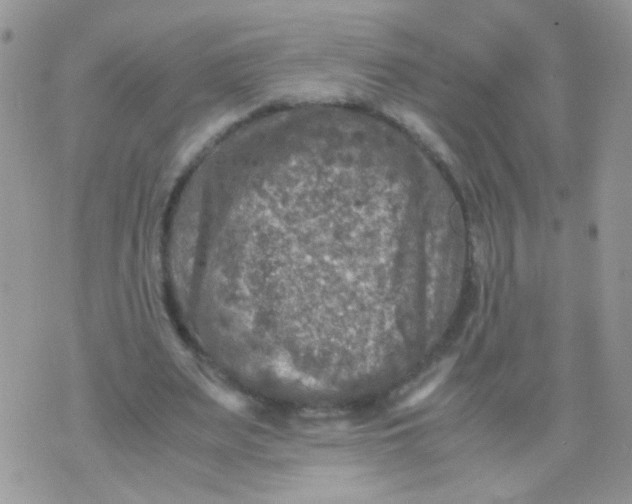 X0000071860487200607211921