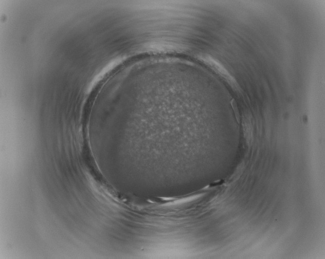 X0000071860488200607211921