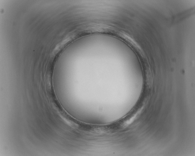 X0000071860489200607211921