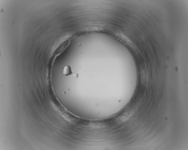 X0000071860490200607211921