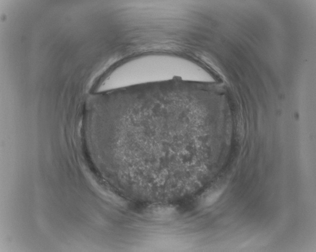 X0000071860491200607211921