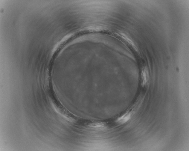 X0000071860492200607211921