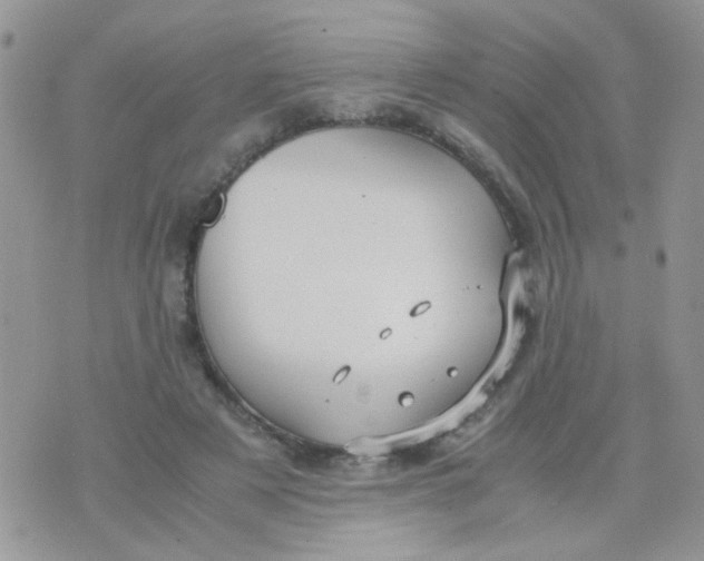 X0000071860497200607211921