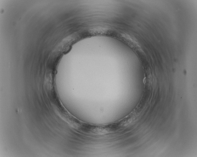 X0000071860498200607211921