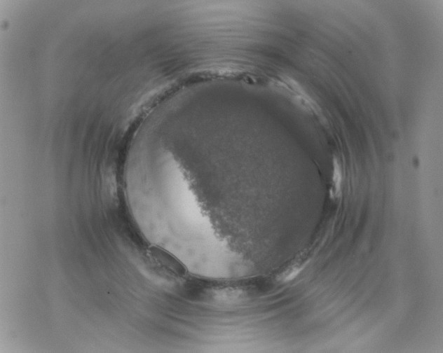 X0000071860500200607211921