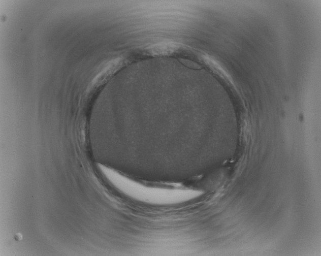 X0000071860501200607211921