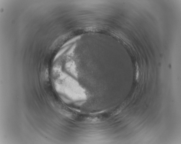 X0000071860502200607211921