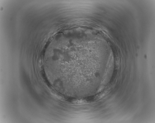 X0000071860503200607211921