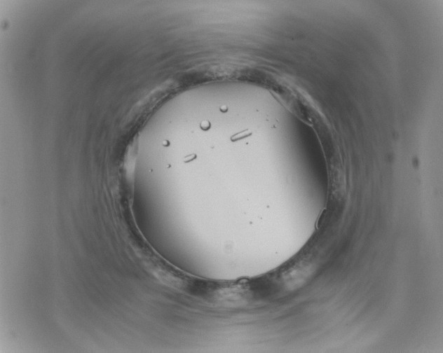 X0000071860505200607211921