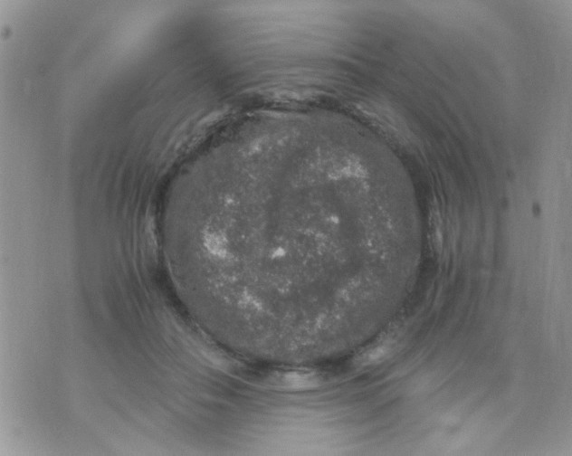 X0000071860506200607211920