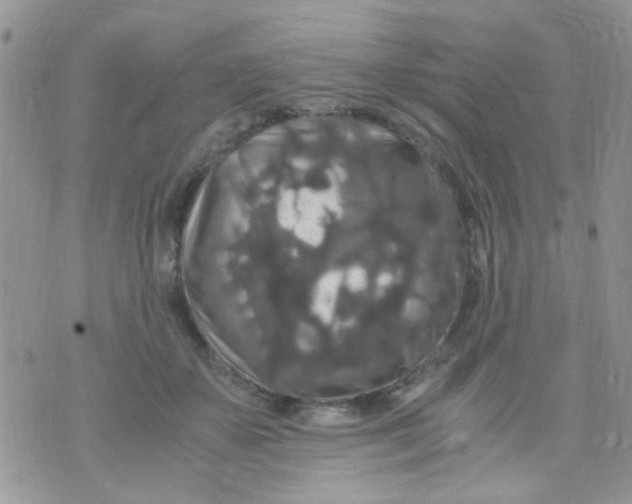 X0000071860507200607211920