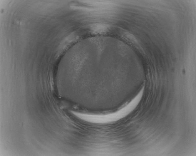 X0000071860508200607211920