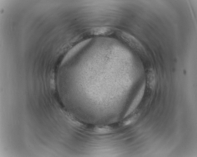 X0000071860510200607211920