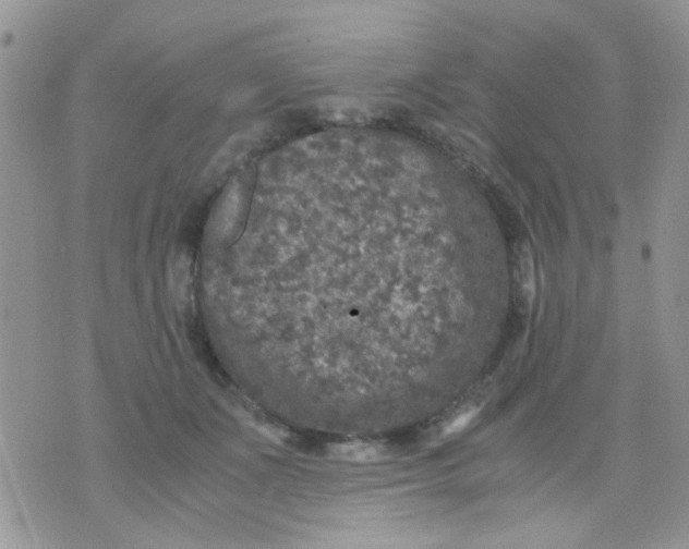 X0000071860511200607211920