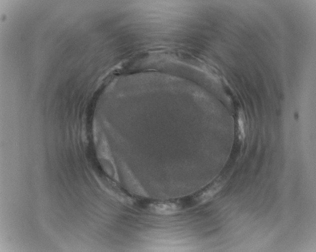 X0000071860512200607211920