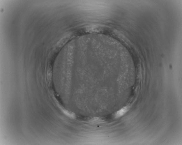 X0000071860513200607211920