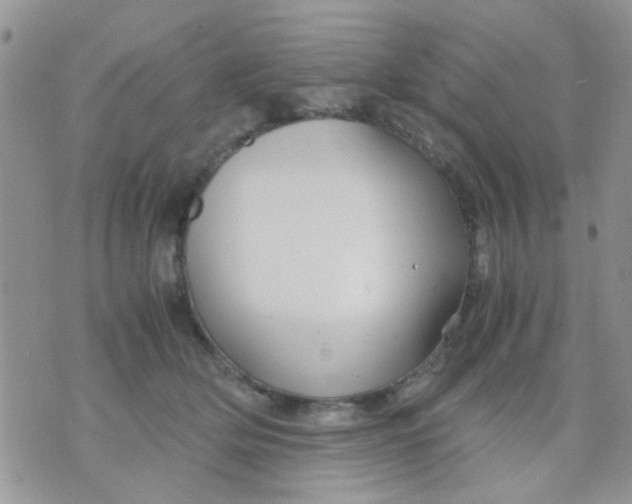 X0000071860514200607211920