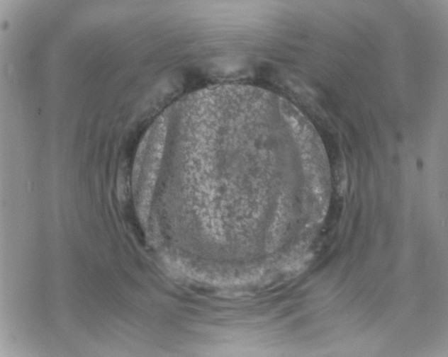 X0000071860515200607211920