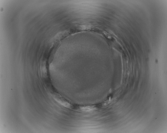 X0000071860516200607211920