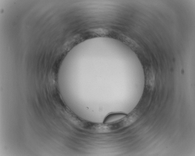 X0000071860518200607211920