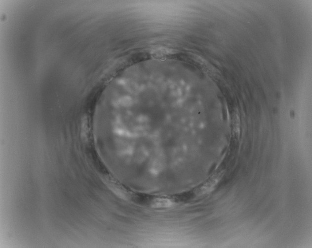 X0000071860519200607211920