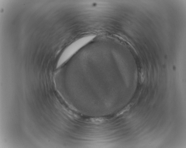 X0000071860520200607211920