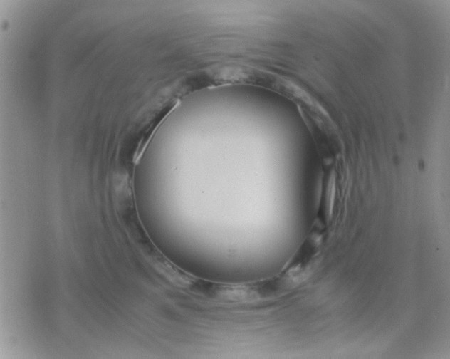 X0000071860521200607211920