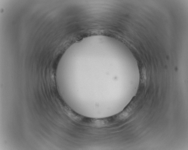 X0000071860522200607211920