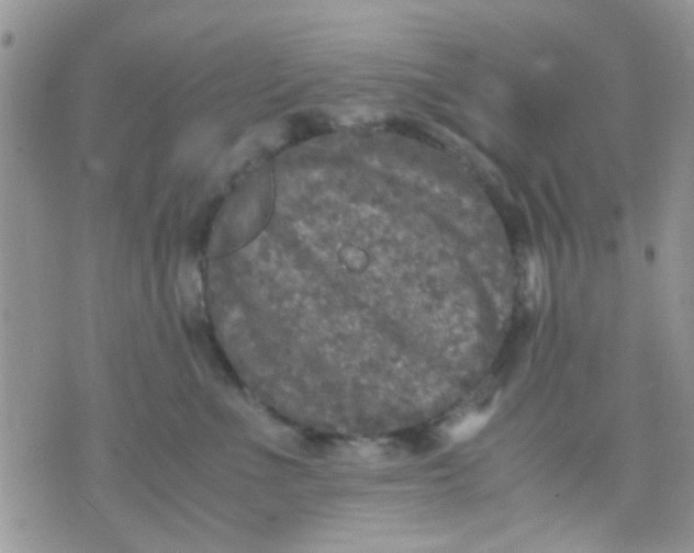 X0000071860523200607211920