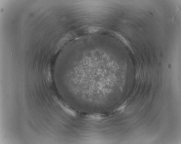 X0000071860524200607211920